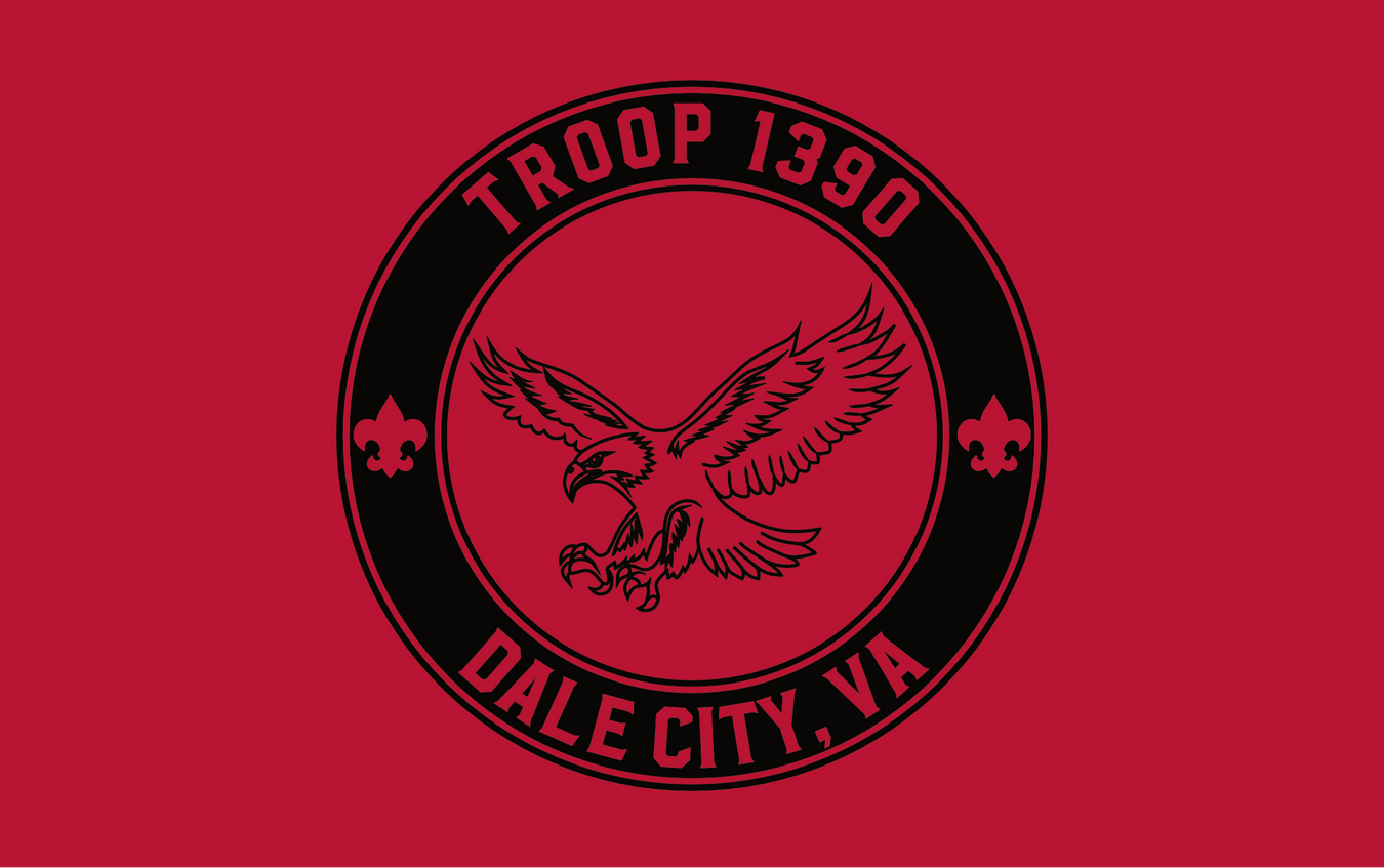 Troop 1390
