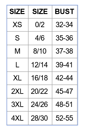 Brooks Brothers® Women’s Wrinkle-Free Stretch Nailhead Shirt