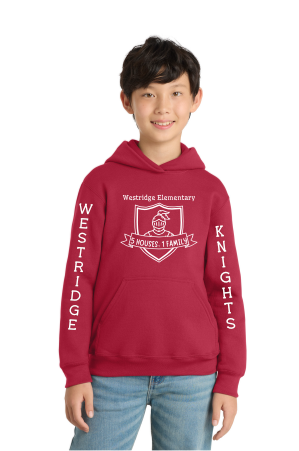 Youth Hooded Sweatshirt