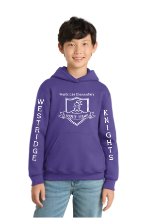 Youth Hooded Sweatshirt