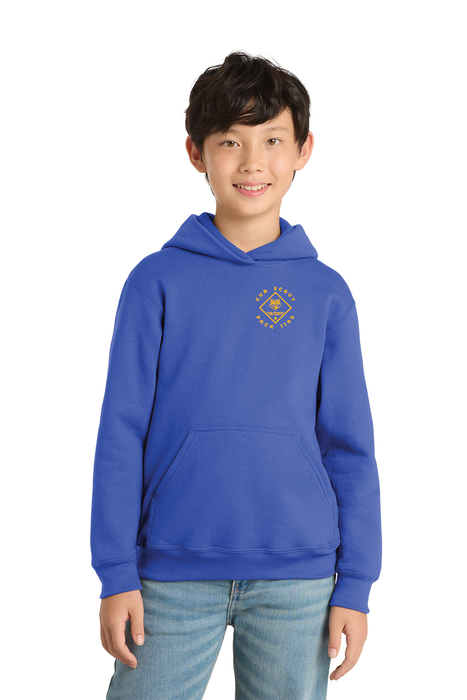 Youth Hoodie