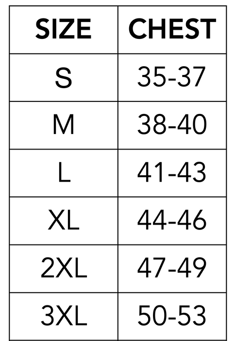 Dominick the Christmas Donkey
